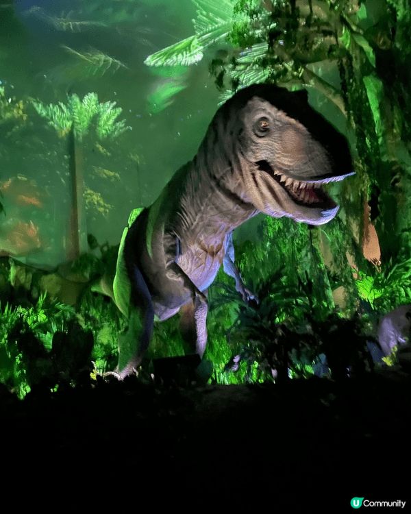 廣州長隆動物園及馬戲團。馬戲團實在太精彩，必看。動物園區又有...