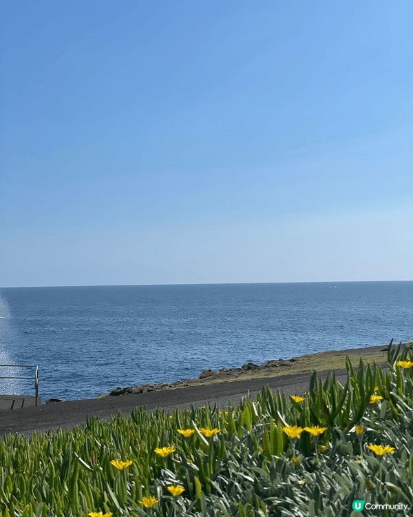 🌊 Kiama｜海風、巨浪與慢生活的完美組合