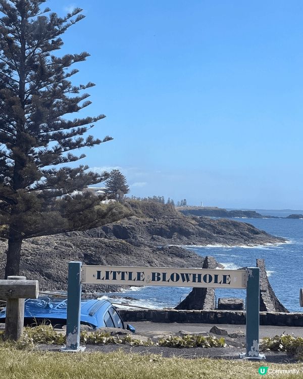 🌊 Kiama｜海風、巨浪與慢生活的完美組合