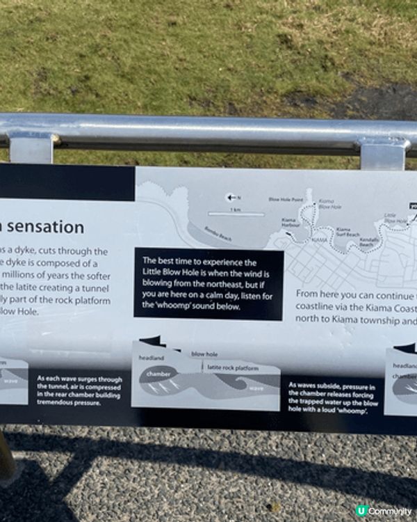 🌊 Kiama｜海風、巨浪與慢生活的完美組合