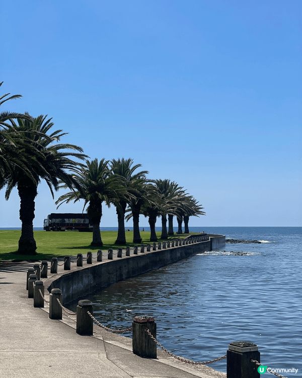 🌊 Kiama｜海風、巨浪與慢生活的完美組合