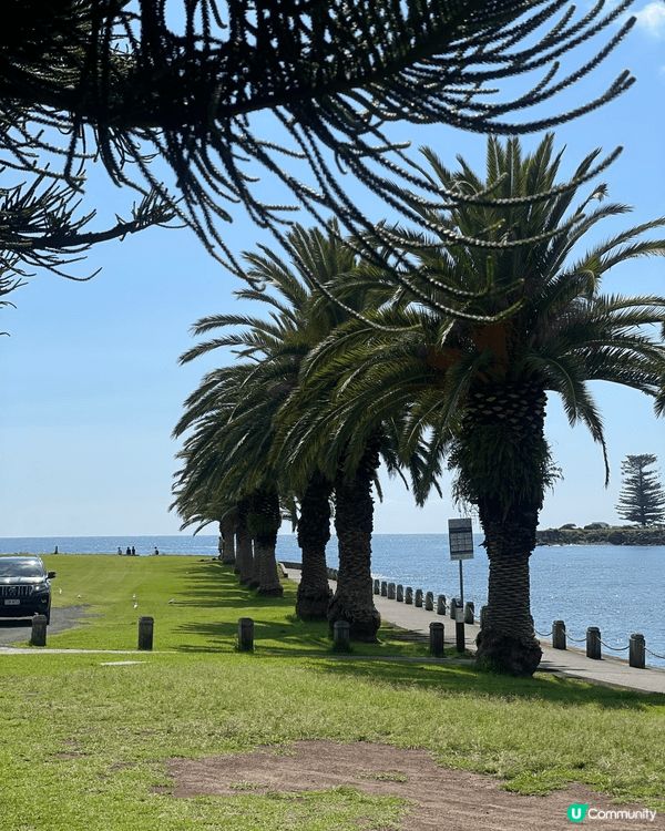 🌊 Kiama｜海風、巨浪與慢生活的完美組合