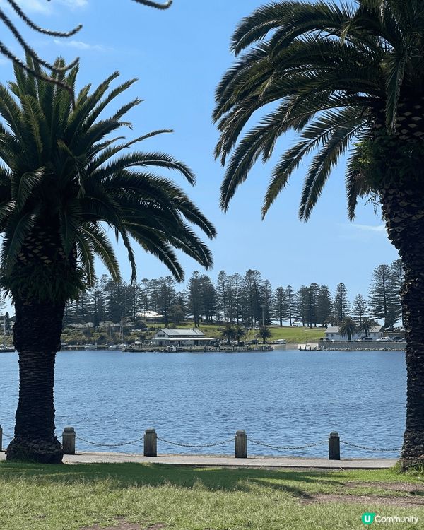 🌊 Kiama｜海風、巨浪與慢生活的完美組合