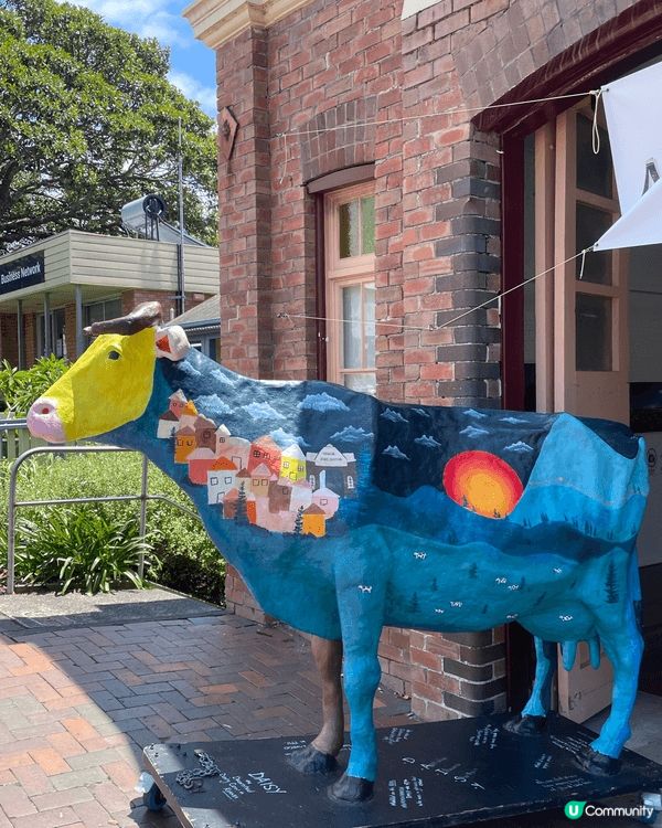 🌊 Kiama｜海風、巨浪與慢生活的完美組合