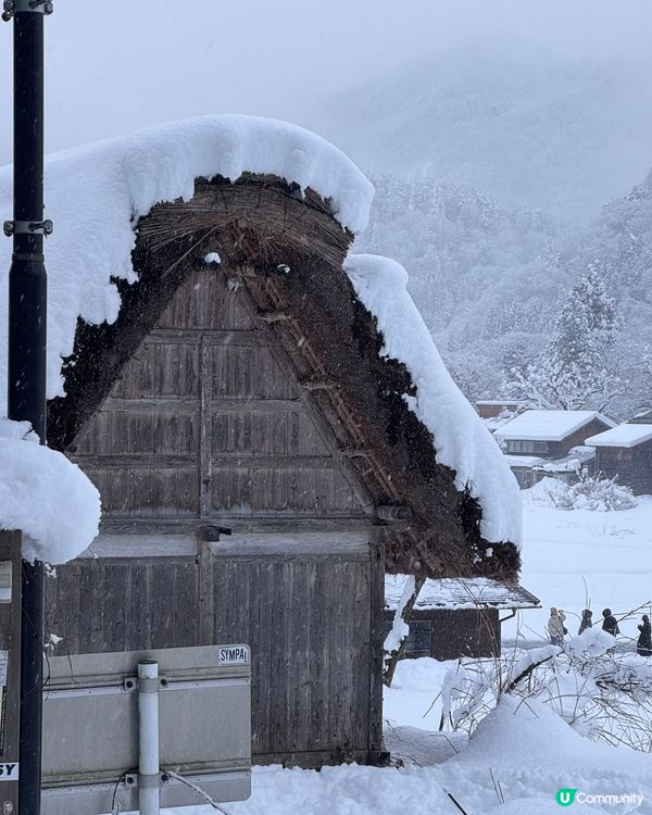 🇯🇵一生人必去一次白川鄉童話世界❄️❄️✨