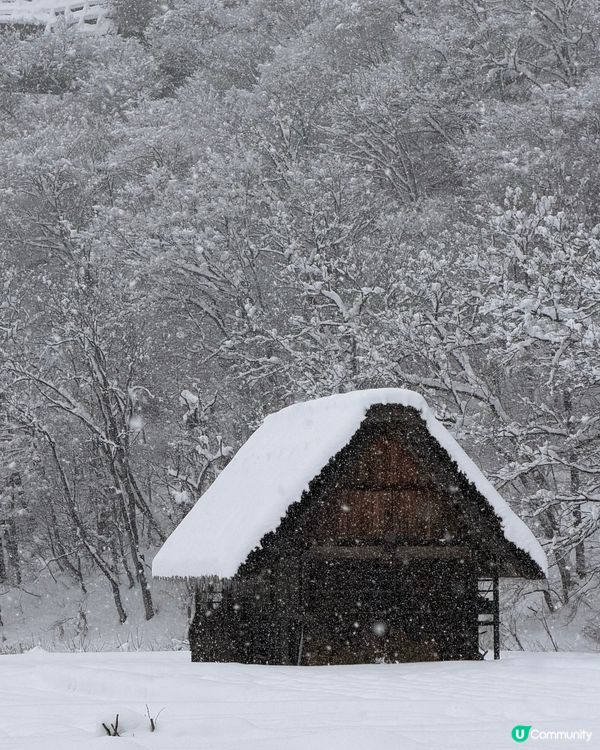 🇯🇵一生人必去一次白川鄉童話世界❄️❄️✨