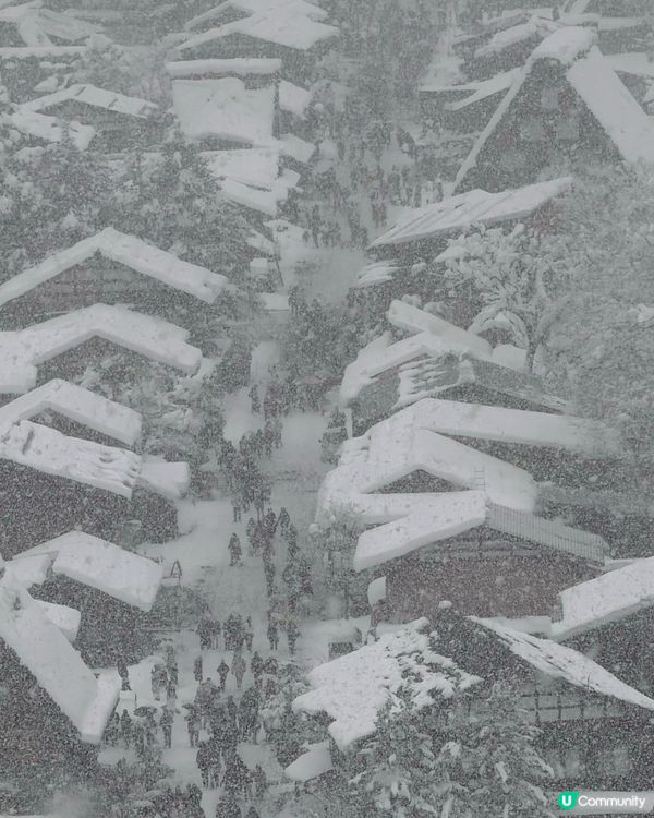 🇯🇵一生人必去一次白川鄉童話世界❄️❄️✨