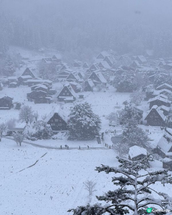 🇯🇵一生人必去一次白川鄉童話世界❄️❄️✨