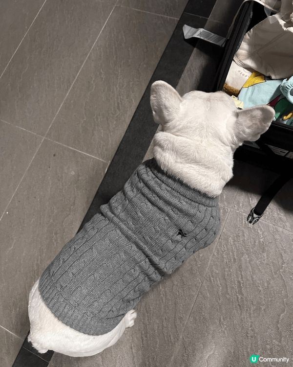 圖一圖二都係買咗新衫俾佢XD