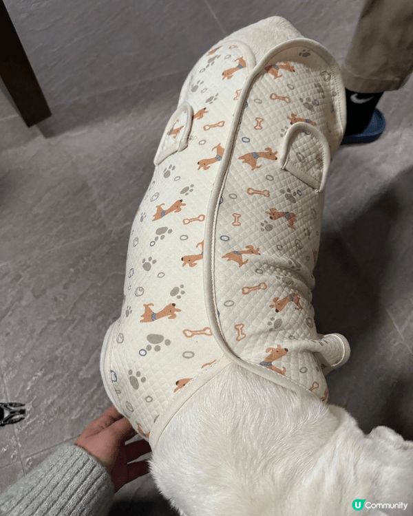 圖一圖二都係買咗新衫俾佢XD