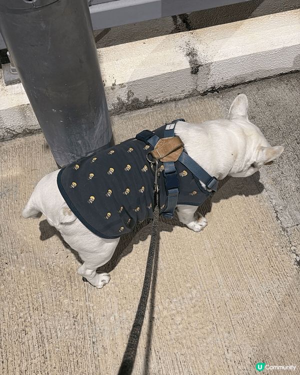 圖一圖二都係買咗新衫俾佢XD