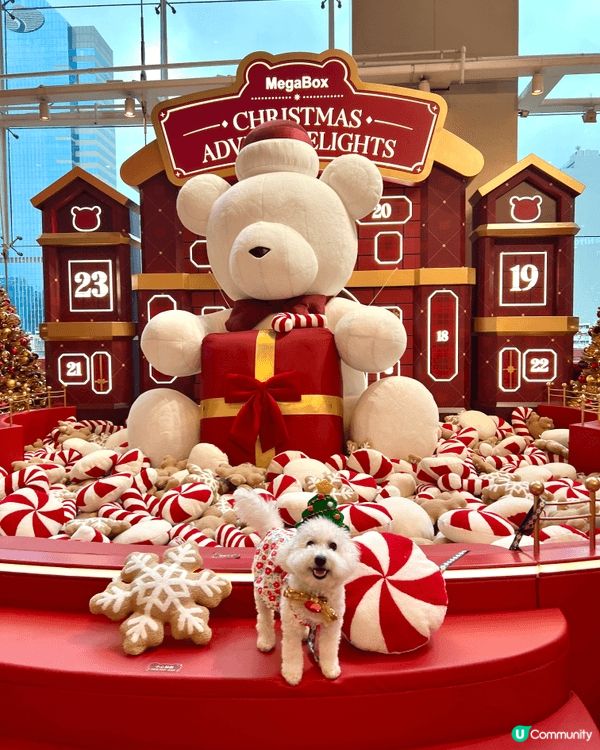 媽媽成日都帶我出街街，影靚相，個仔都好易成日污糟要不停咁樣沖...