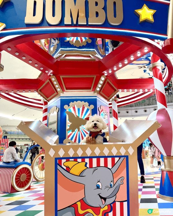 媽媽成日都帶我出街街，影靚相，個仔都好易成日污糟要不停咁樣沖...