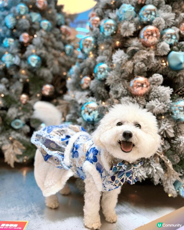 媽媽成日都帶我出街街，影靚相，個仔都好易成日污糟要不停咁樣沖...