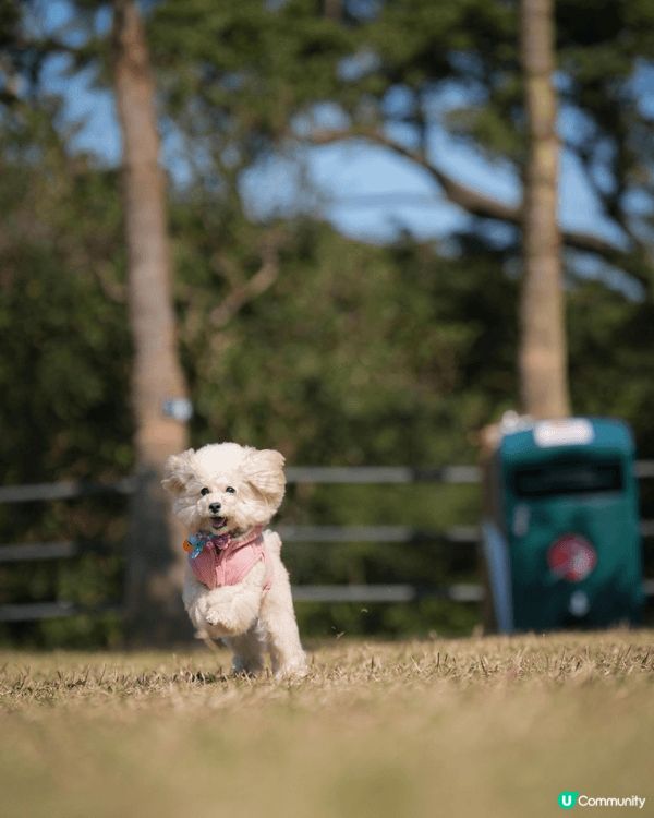 出完街街清潔好腳板同全身。係主人必須要做嘅動作。呢隻aqua...