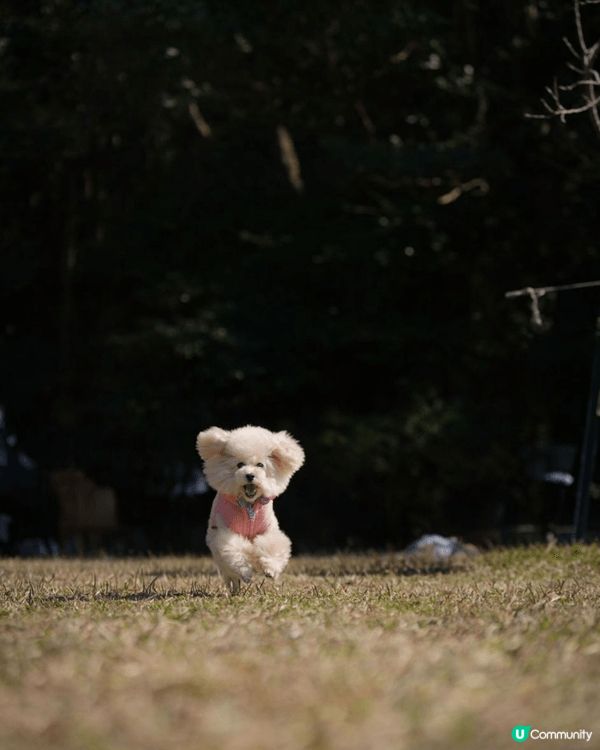 出完街街清潔好腳板同全身。係主人必須要做嘅動作。呢隻aqua...