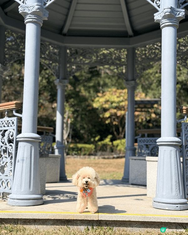 出完街街清潔好腳板同全身。係主人必須要做嘅動作。呢隻aqua...