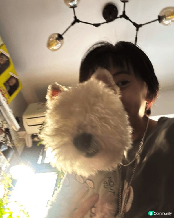 大家好 我叫臭B 15歲，雖然我冇眼仔，但係一樣咁人見人愛 ...