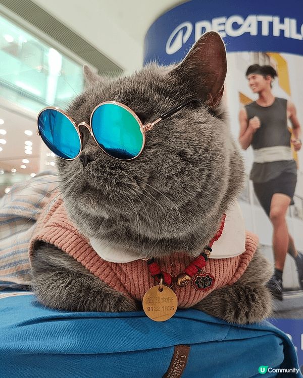 喺荃灣廣場遇到寶寶，喺女仔，好可愛嘅藍貓，rapper造型，...