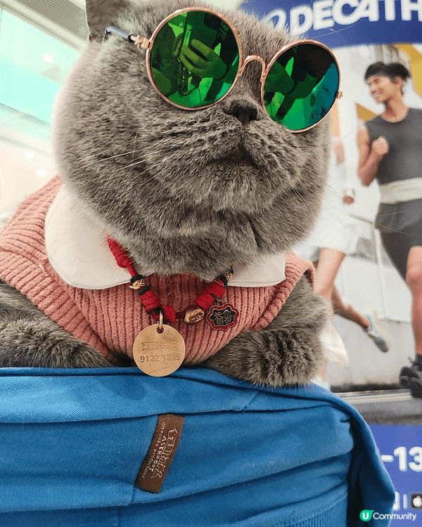 喺荃灣廣場遇到寶寶，喺女仔，好可愛嘅藍貓，rapper造型，...