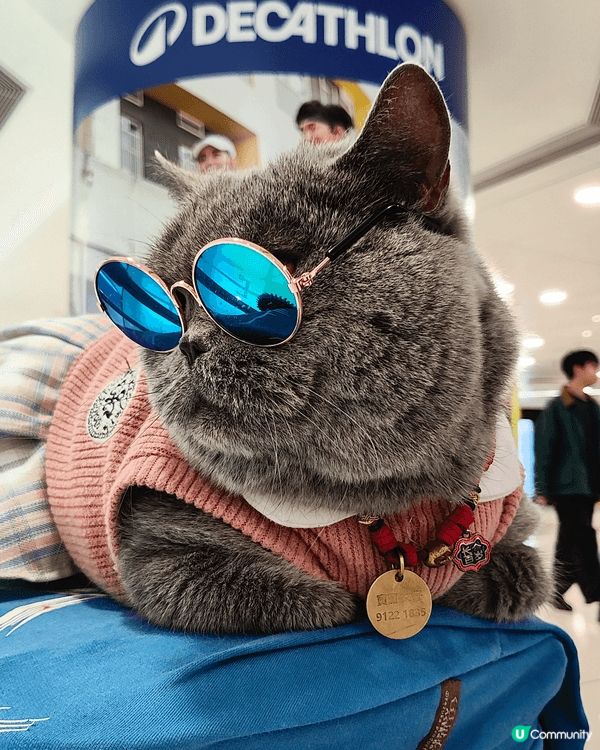 喺荃灣廣場遇到寶寶，喺女仔，好可愛嘅藍貓，rapper造型，...