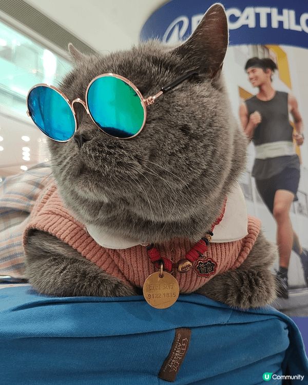 喺荃灣廣場遇到寶寶，喺女仔，好可愛嘅藍貓，rapper造型，...