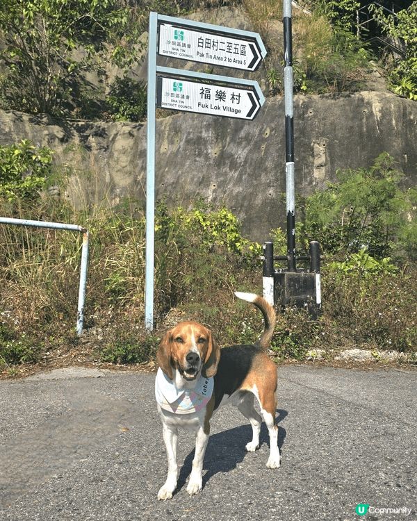 我哋成日都行山㗎, 應該都要試下嚟個腳仔SPA清潔同放鬆啦....