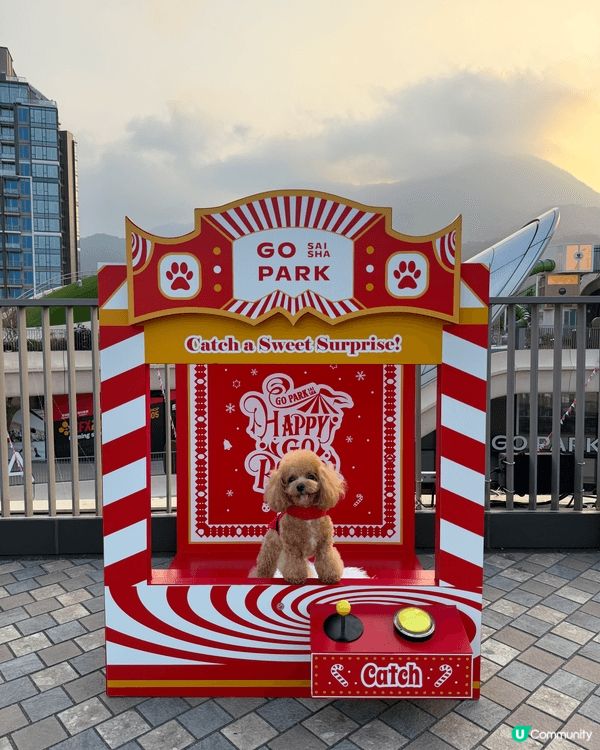 平時帶狗狗出街後，都會用濕紙巾抹腳仔，想試吓用清潔泡泡#想幫...