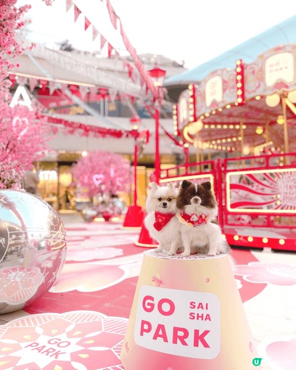 砂煲艾斯兩兄弟感情好好，成日周圍去打卡，喺屋企一樣成日影相！...