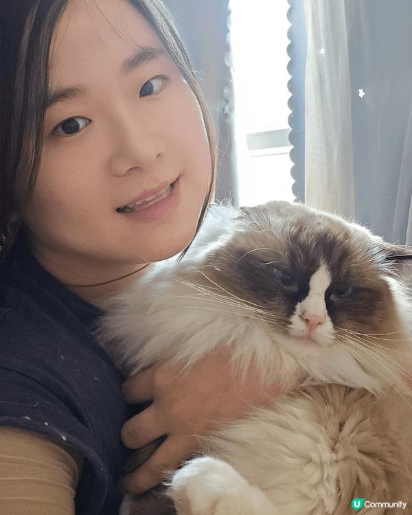 兩隻貓寶貝是我的家人，一起睡、一起玩，會歡迎我回家，更會目送...
