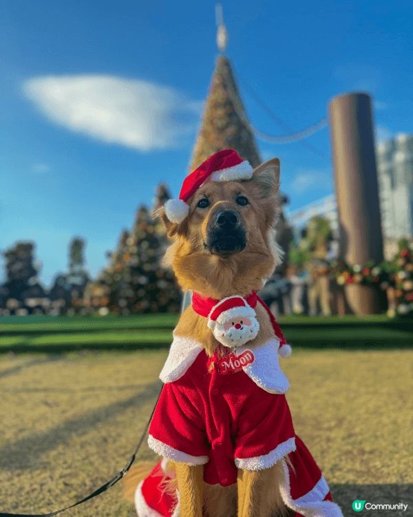 MoonMoon會去不同的地方，一齊港Moon周圍遊