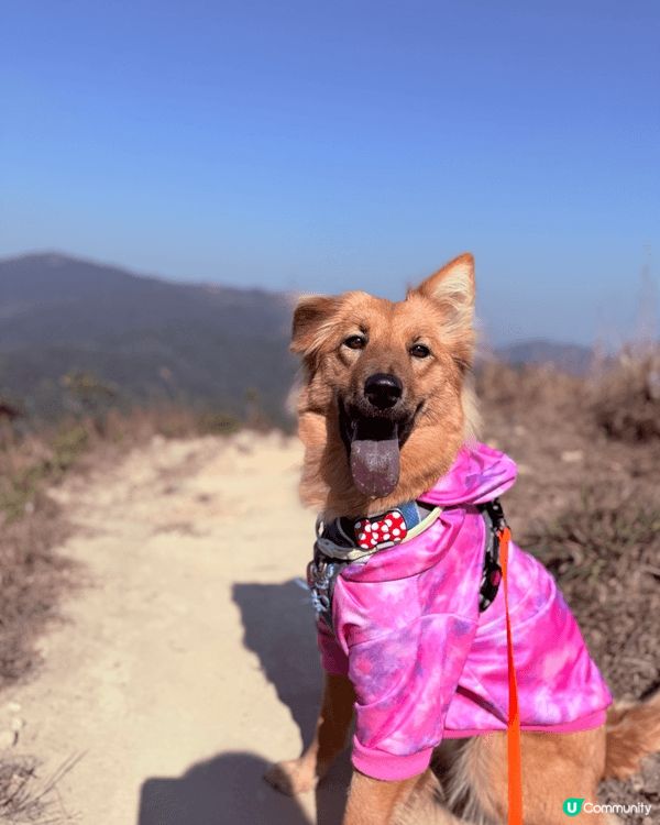 MoonMoon會去不同的地方，一齊港Moon周圍遊