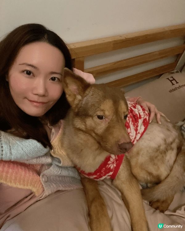 我家小狗平時好I, 自從兩個大姐姐走左，得返佢一個小男孩，感...