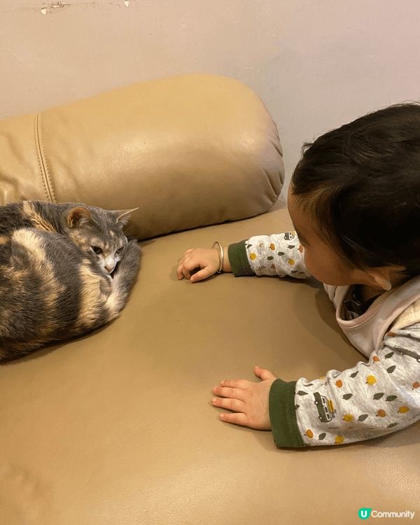 這三位小霸主是：