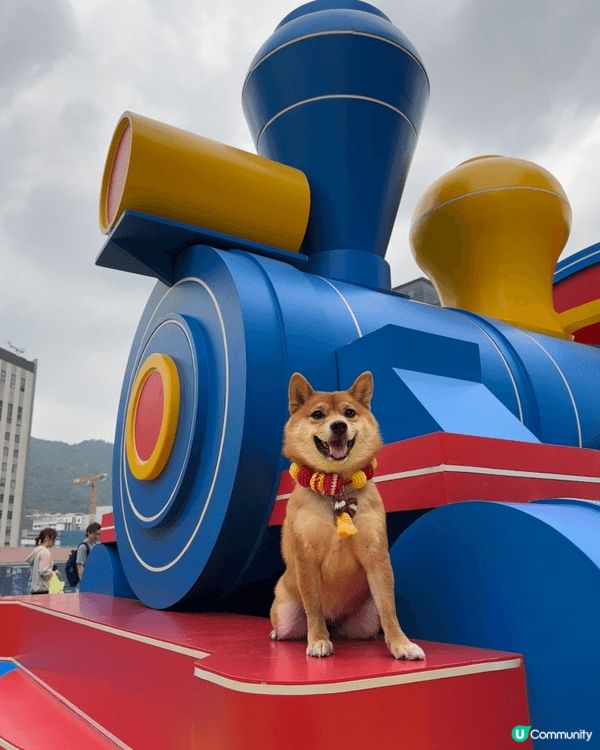 帶咗狗狗去狗公園同戶外散步打卡！睇佢奔奔跳跳，追住樹葉玩，好...