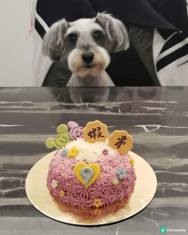 我的寵物叫蝦膏，今年16歲喇，最鐘意就係食同訓覺