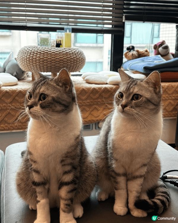 Hellooo~我哋係3M Family