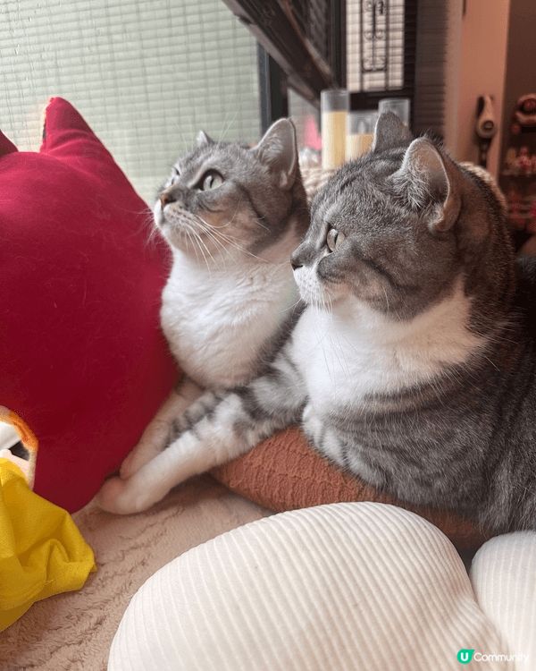 Hellooo~我哋係3M Family
