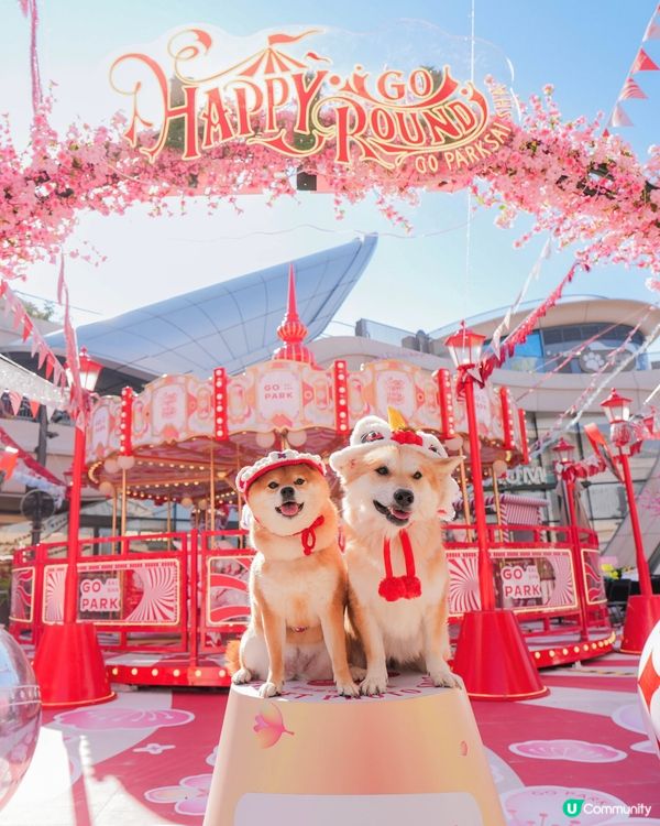 桃花世界打卡📸🌸