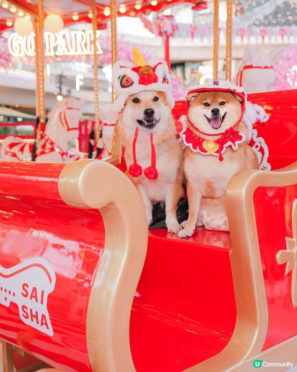 桃花世界打卡📸🌸