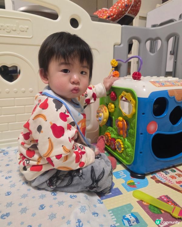 𝐂𝐮𝐫𝐭𝐢𝐬 𝐁𝐁 自己玩玩吓趴低瞓著左🤣