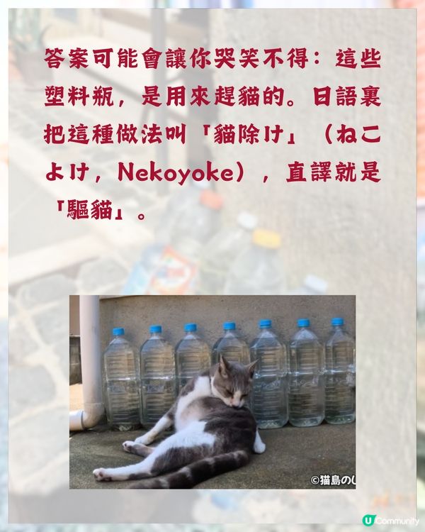 日本冷知識🇯🇵旅遊時經常見到街上有一排膠樽❓原來全因「1民間偏方 」😮
