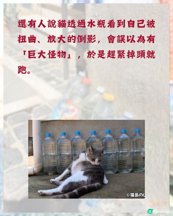 日本冷知識🇯🇵旅遊時經常見到街上有一排膠樽❓原來全因「1民間偏方 」😮
