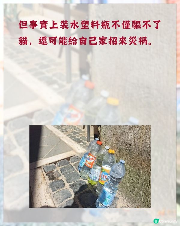 日本冷知識🇯🇵旅遊時經常見到街上有一排膠樽❓原來全因「1民間偏方 」😮