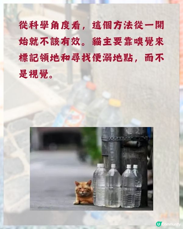日本冷知識🇯🇵旅遊時經常見到街上有一排膠樽❓原來全因「1民間偏方 」😮