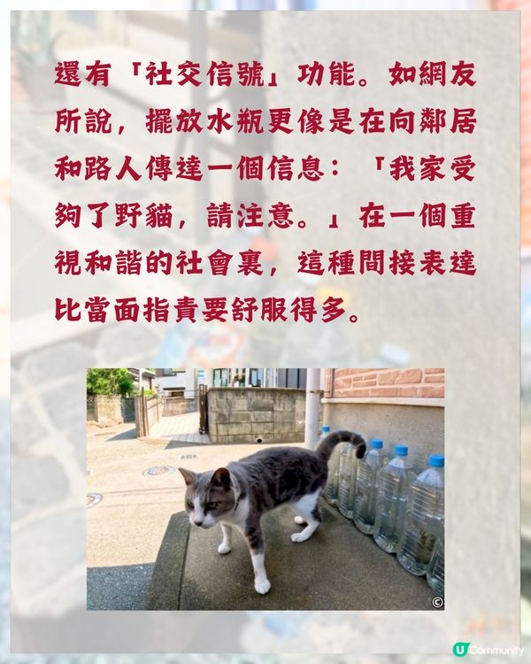 日本冷知識🇯🇵旅遊時經常見到街上有一排膠樽❓原來全因「1民間偏方 」😮