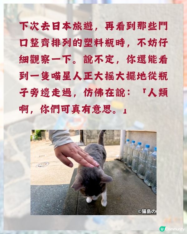 日本冷知識🇯🇵旅遊時經常見到街上有一排膠樽❓原來全因「1民間偏方 」😮