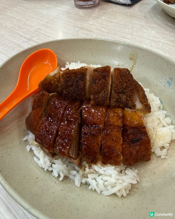 一樂燒鵝：米芝蓮平民天花板鵝 🦆🌟