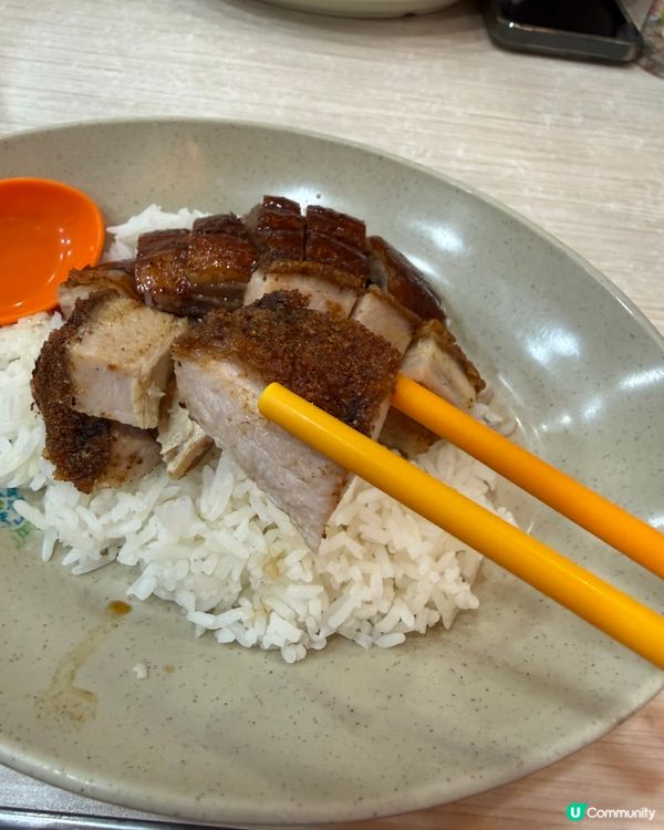 一樂燒鵝：米芝蓮平民天花板鵝 🦆🌟