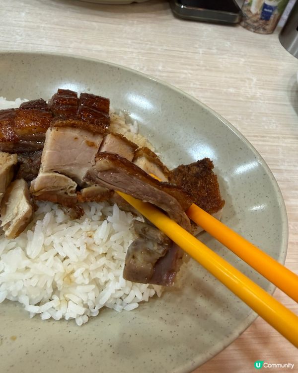 一樂燒鵝：米芝蓮平民天花板鵝 🦆🌟